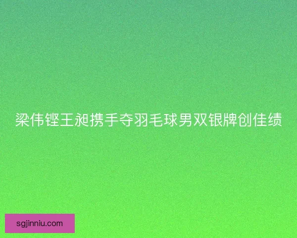 梁伟铿王昶携手夺羽毛球男双银牌创佳绩